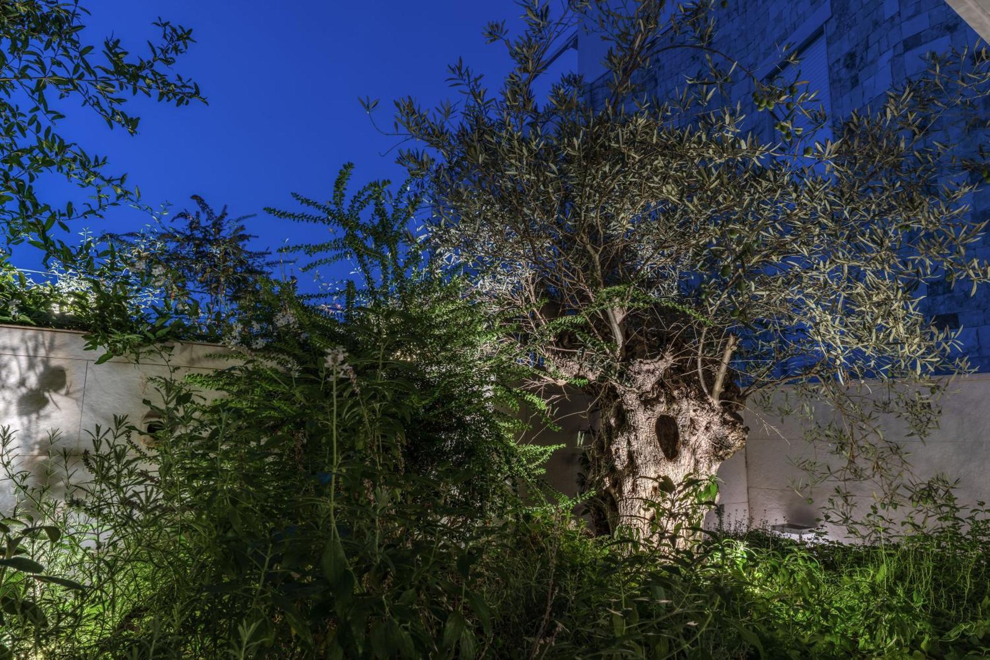 Olea Boutique Suites Polignano Polignano a Mare Exterior foto